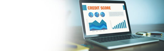 HDFC Bank Credit Ratings